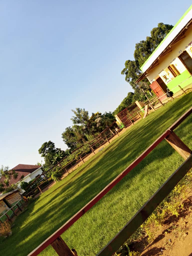 Compound